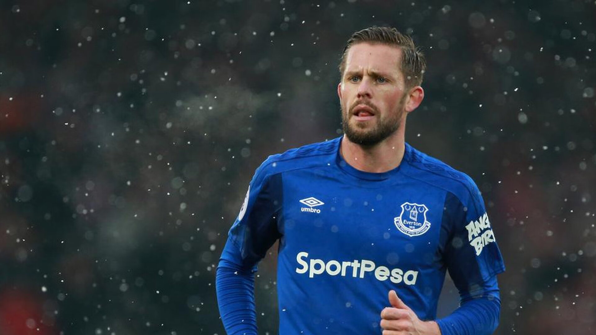 赛季“潜力股”盘点：明年可能会大放异彩的新人们，下个赛季出什么车